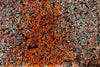 Steve Roper | Mixed Media | From Big Things Little Things Grow