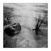 Alana  Harris | Photography | Full Circle 11
