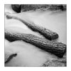 Alana  Harris | Photography | Full Circle 12
