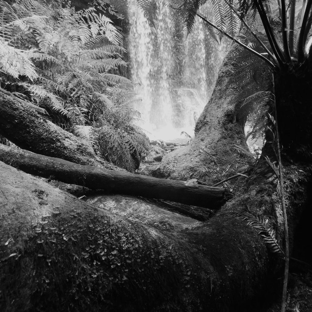 Alana  Harris | Photography | Full Circle 15