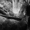 Alana  Harris | Photography | Full Circle 15