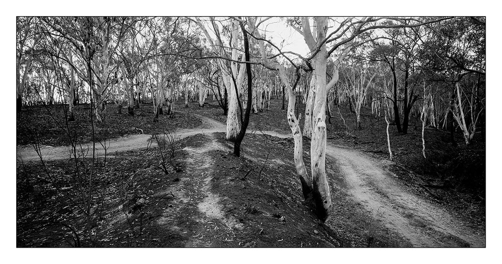 Alana  Harris | Photography | Full Circle 1