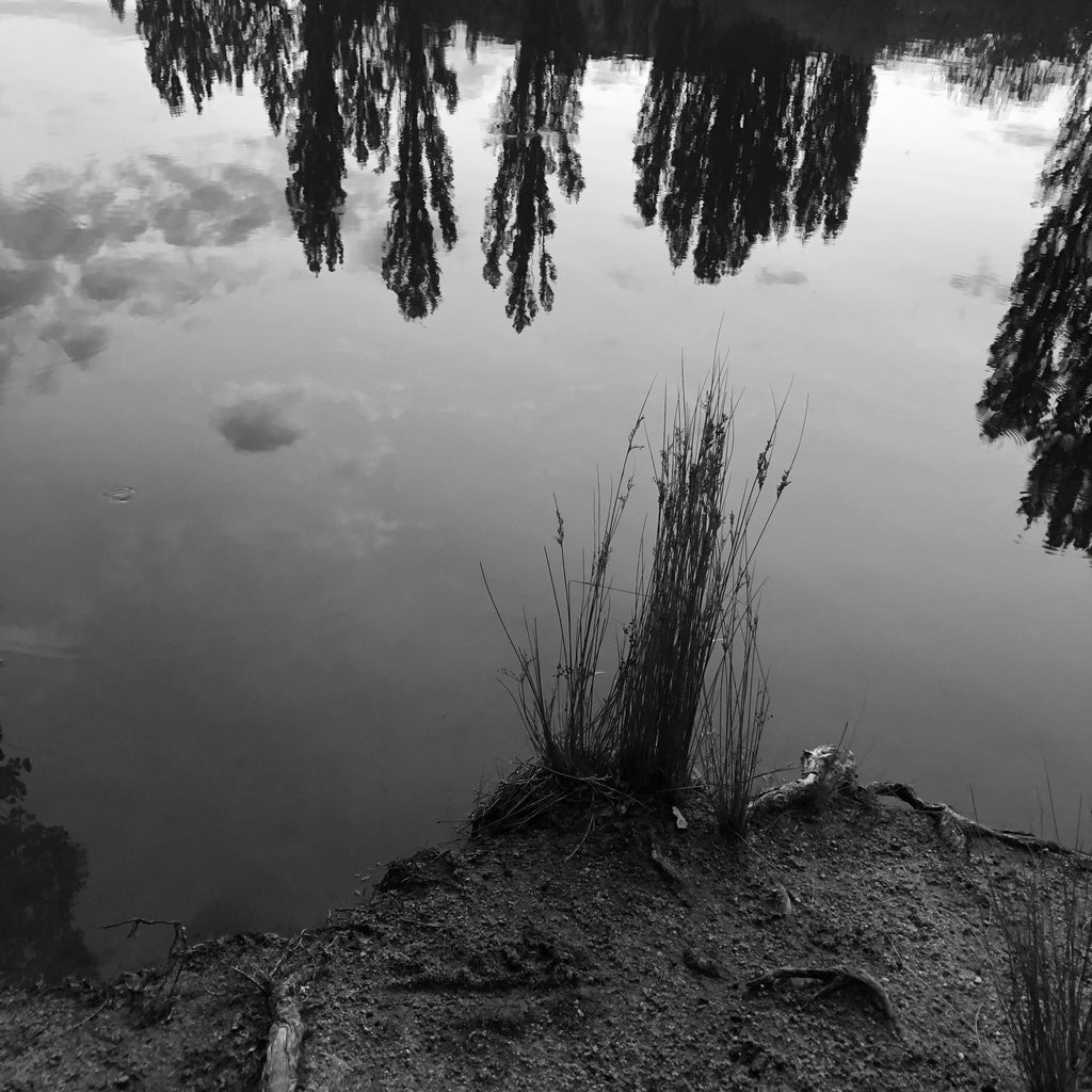 Alana  Harris | Photography | Full Circle 20
