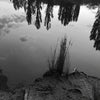 Alana  Harris | Photography | Full Circle 20