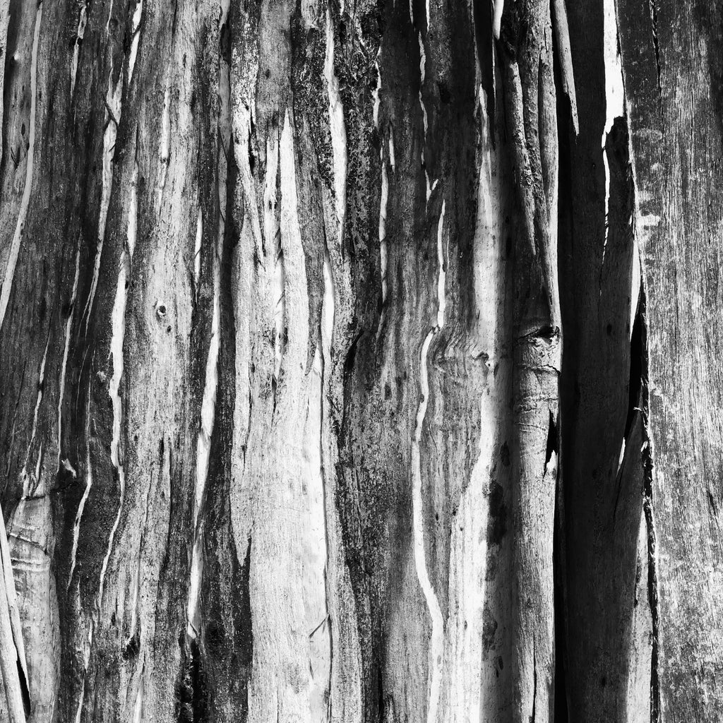 Alana  Harris | Photography | Full Circle 22