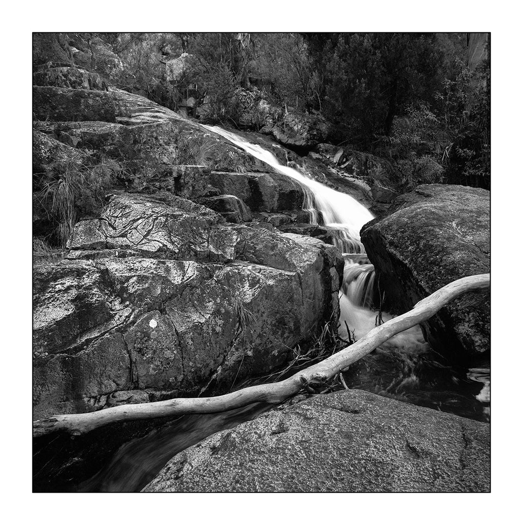 Alana  Harris | Photography | Full Circle 5