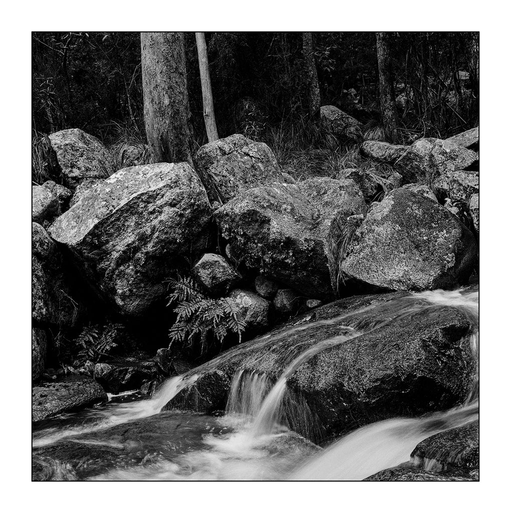Alana  Harris | Photography | Full Circle 7