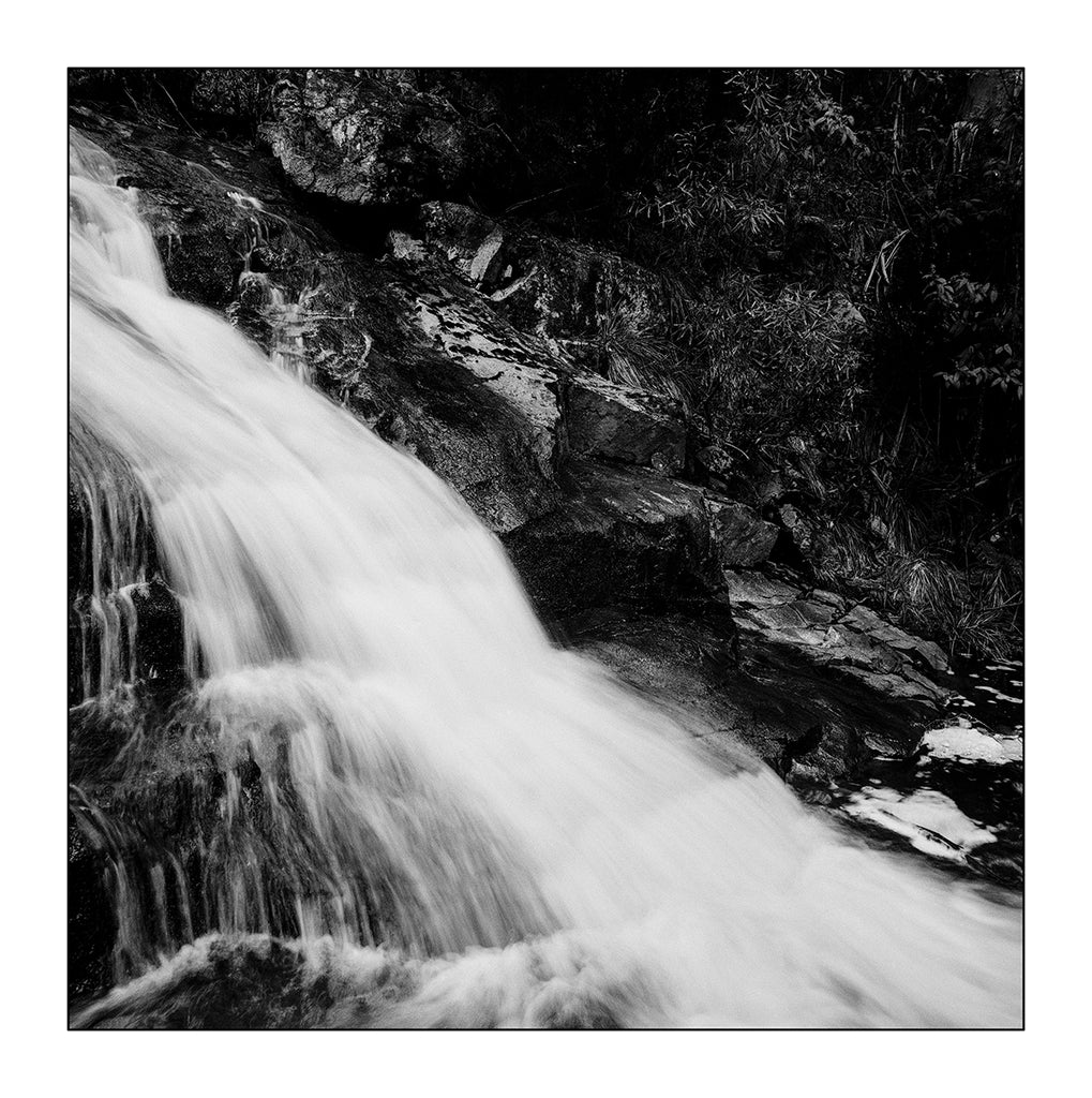 Alana  Harris | Photography | Full Circle 8