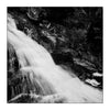 Alana  Harris | Photography | Full Circle 8