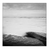 Alana  Harris | Photography | Full Circle 9