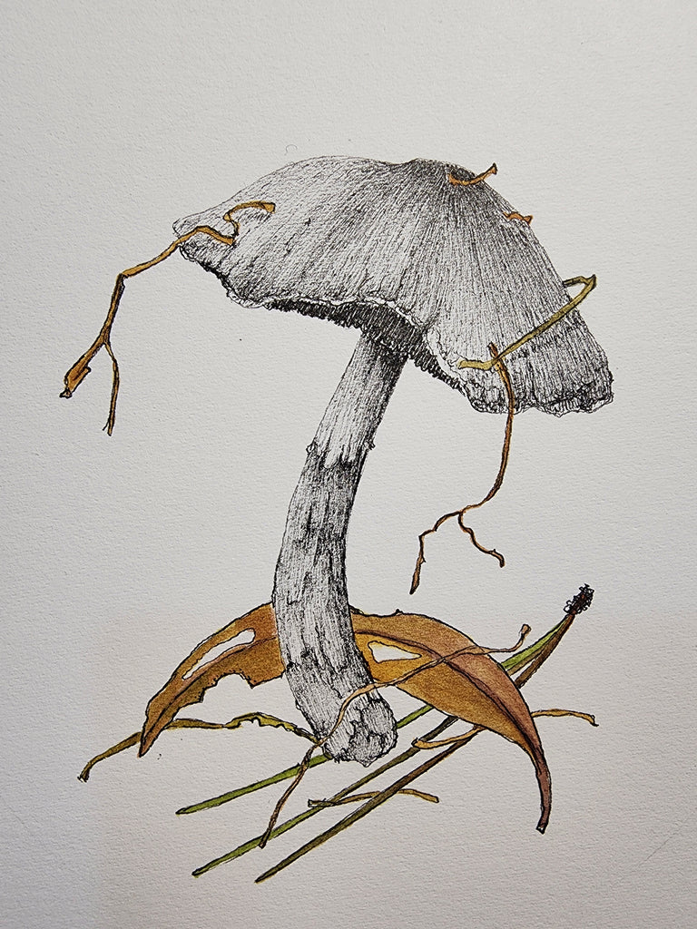 Sharon Field | 3000 days... and counting... | Drawing | Fungi