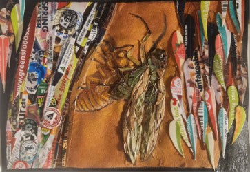Gavin Cooper | Mixed Media | Consumed Habitat