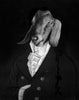 Brenda Runnegar | Digital Media | Goat Man