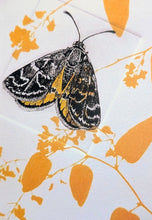 Load image into Gallery viewer, Fenja T. Ringl | Cards |
