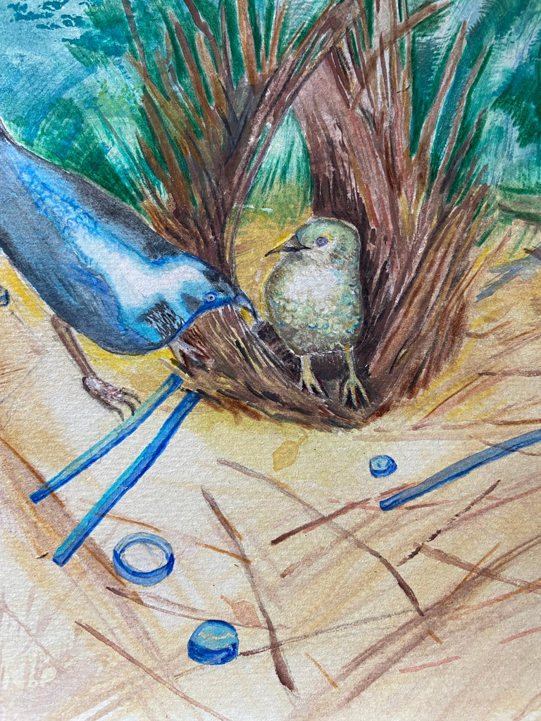 Grace Walters | Painting | Satin bowerbird courtship