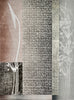 Roslyn Kean | The Space Between| Ground Lines in my Garden