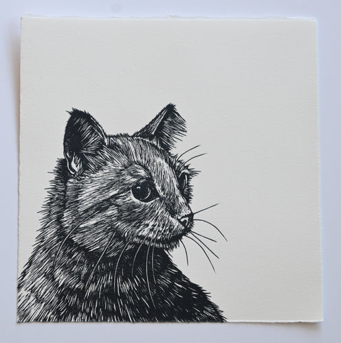 Lisa Jose | Printmaking | Harvey