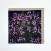 Irina Nazarova | greeting card 2 | Geraldton Wax