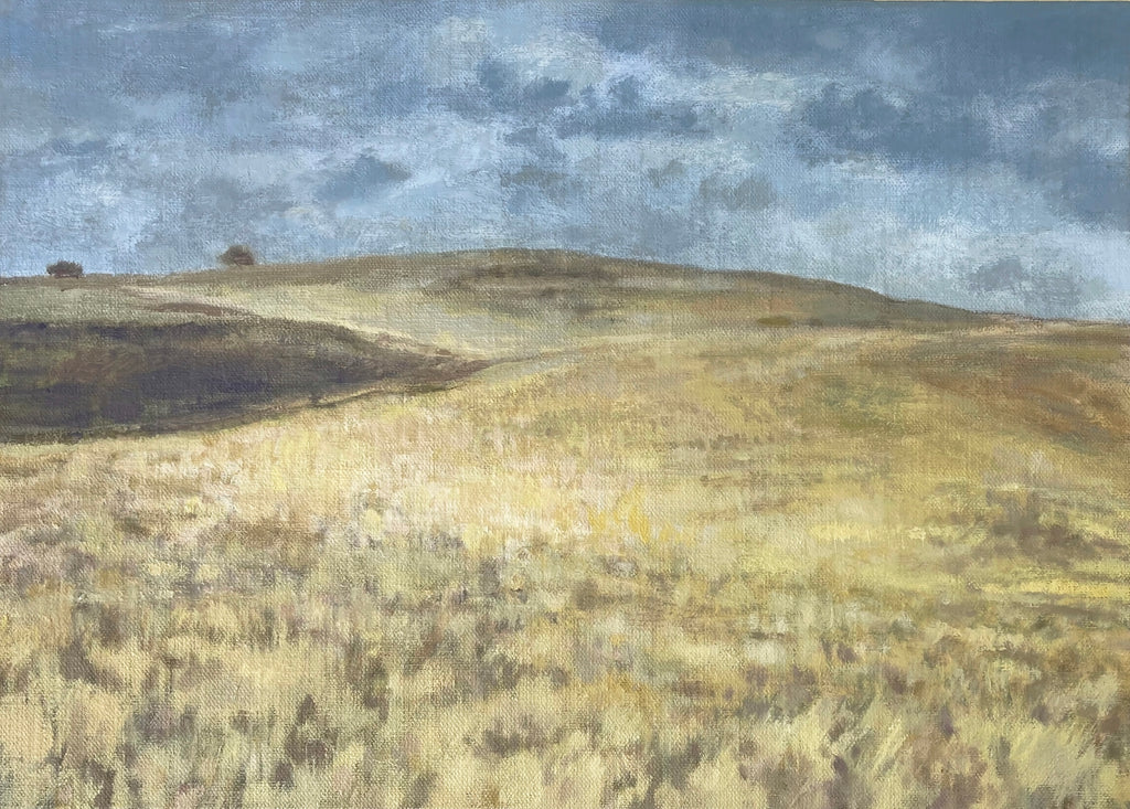 Iona Walsh | Painting | Monaro – Yellow Hill