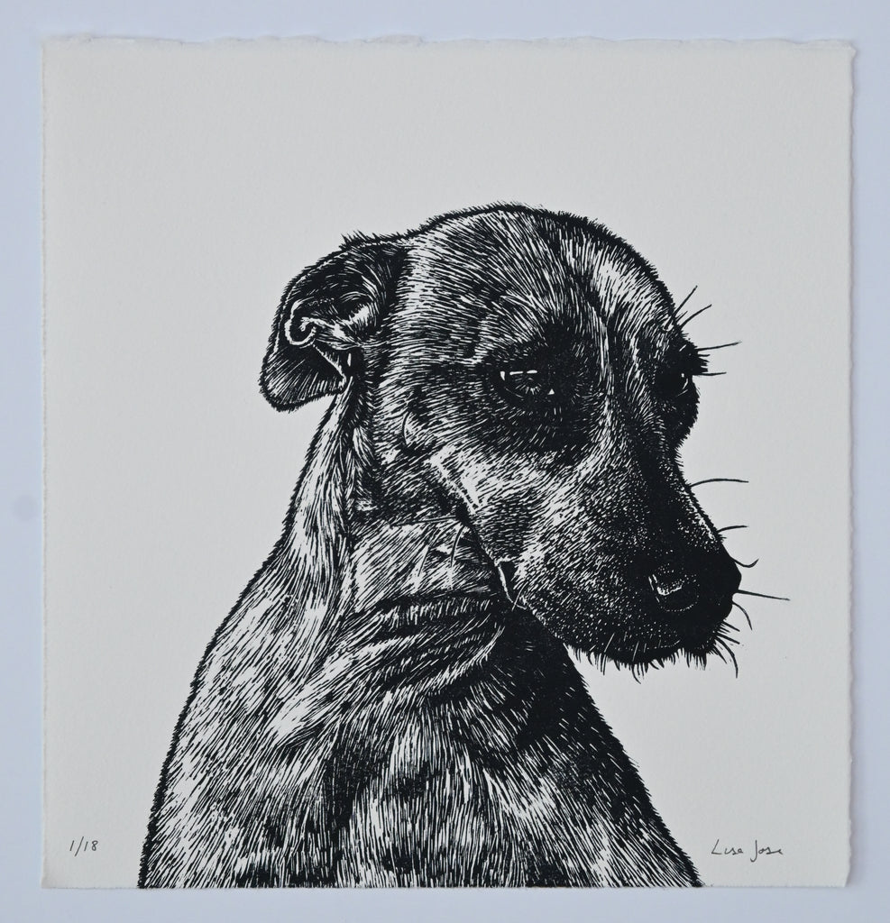 Lisa Jose | Printmaking | Indi