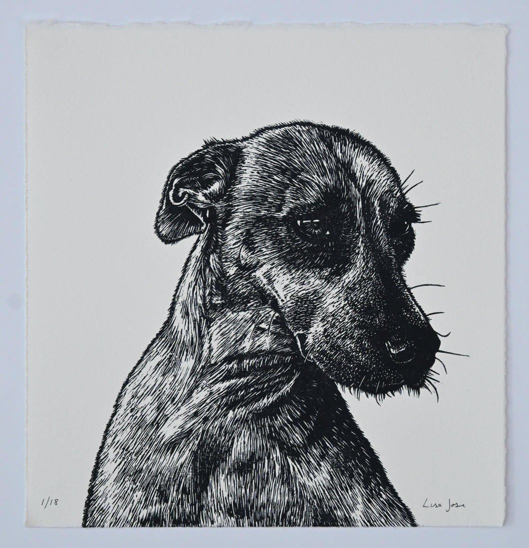 Lisa Jose | Printmaking | Indi