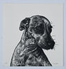 Lisa Jose | Printmaking | Indi