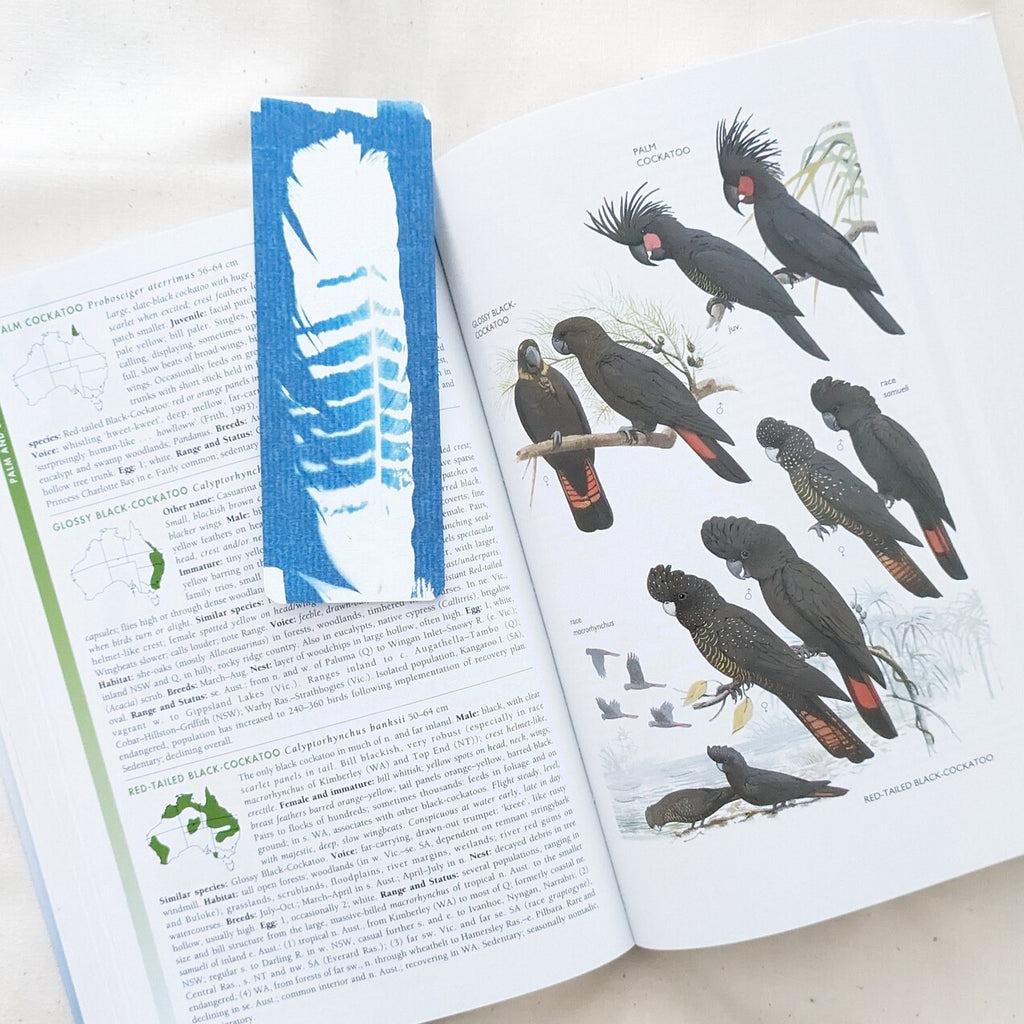 Jessica Blue Bower Art | Bookmark – Red-tailed black cockatoo tail feather |
