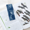 Jessica Blue Bower Art | Bookmark – Skeleton leaves |
