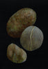 Jennifer Burns | Drawing | Wishing Stones Black