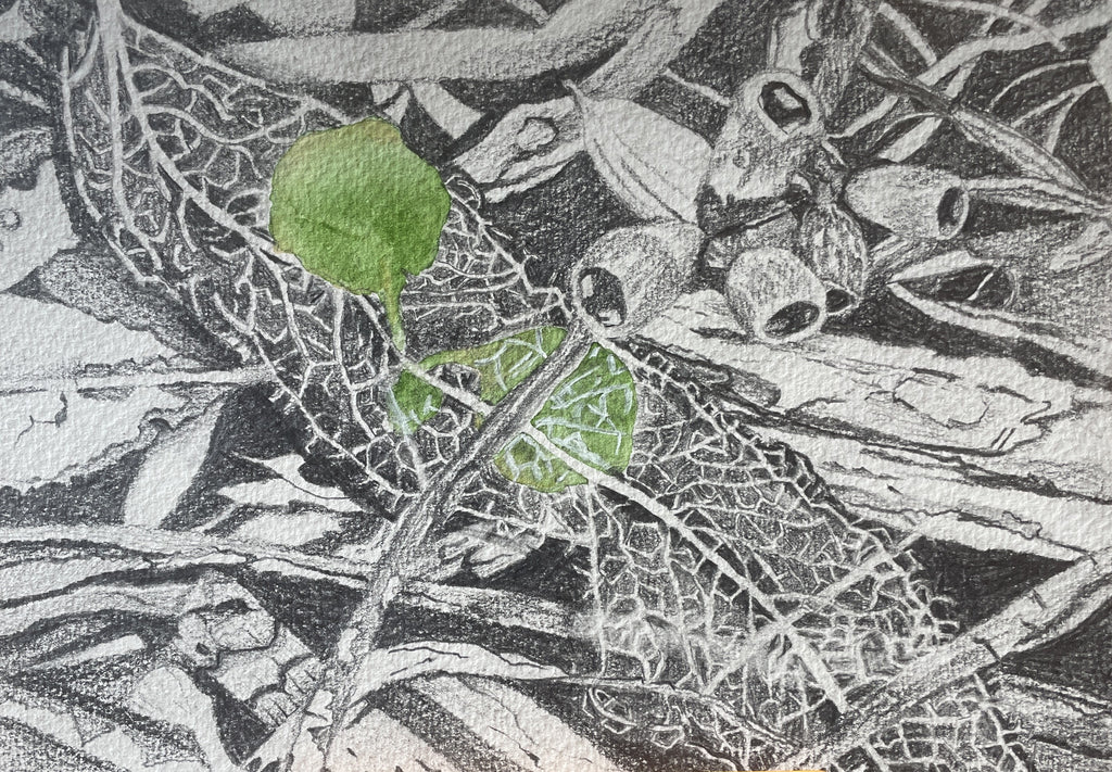Joanne Holmes | Mixed Media | Resilient fragility