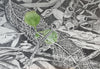 Joanne Holmes | Mixed Media | Resilient fragility