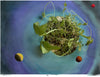 Joanne Holmes | Mixed Media | Seeds of a new future