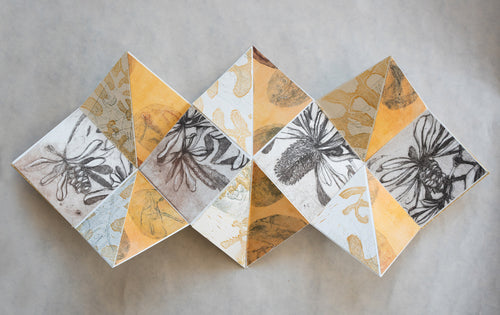 jo Hollier | Printmaking | Banksia
