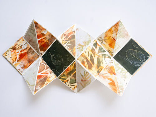 Jo Hollier | Printmaking | Melaueca