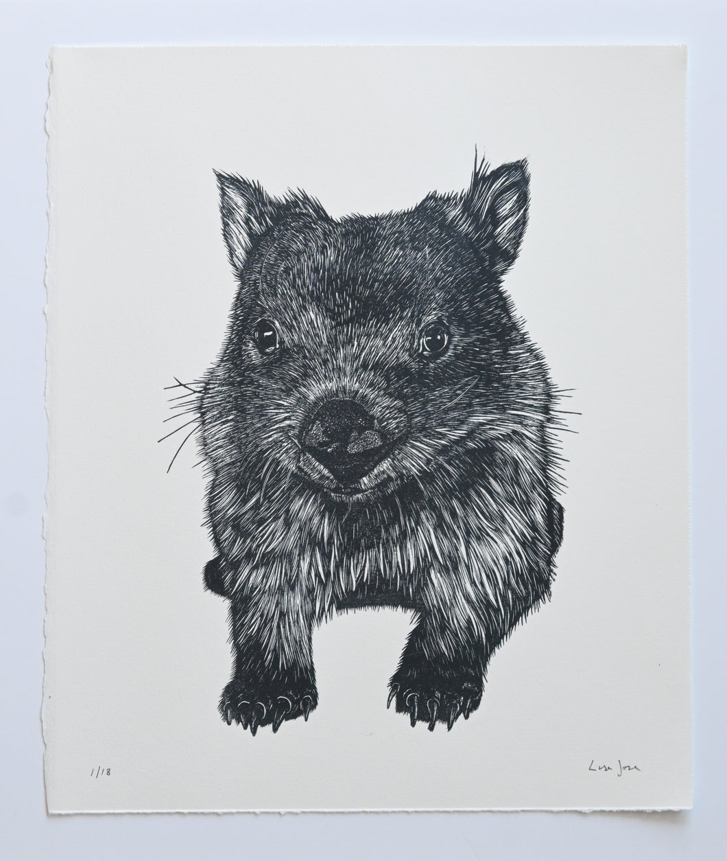 Lisa Jose | Printmaking | June