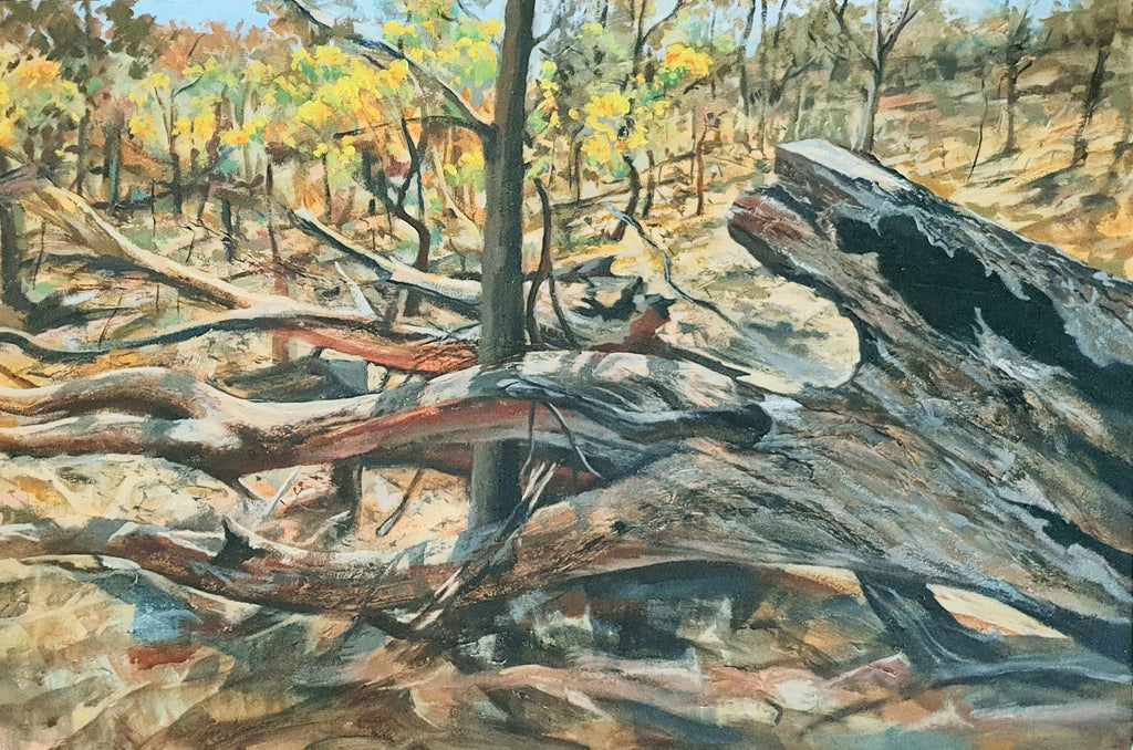 Kathryn Scott | Painting | Wattle and fallen burnt tree on Mt Ainslie