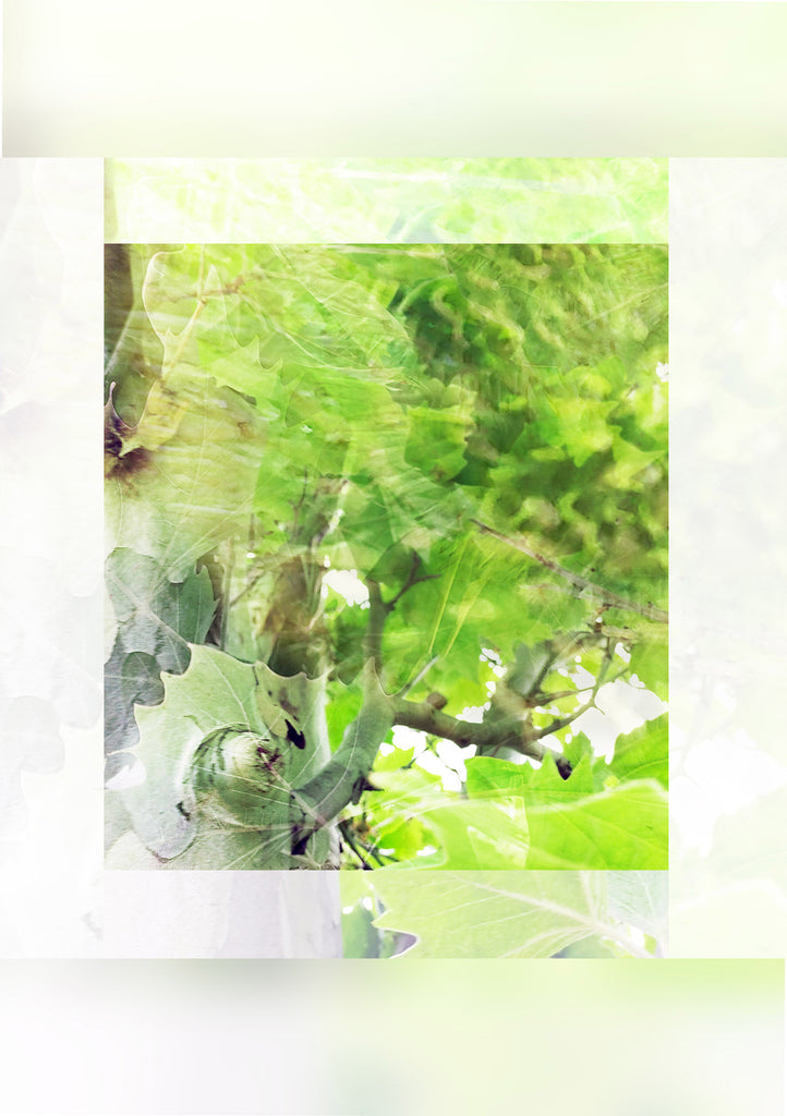 Karen Milder | Mixed Media | Tree Talk