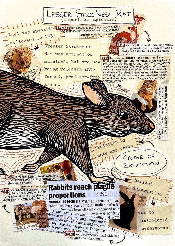 Kat Parker | Mixed Media | Introducing: Lesser Stick-Nest Rat