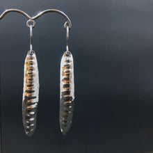 Load image into Gallery viewer, Kate Hunter | Earrings | Acacia pods