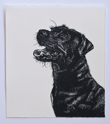 Lisa Jose | Printmaking | Lahni