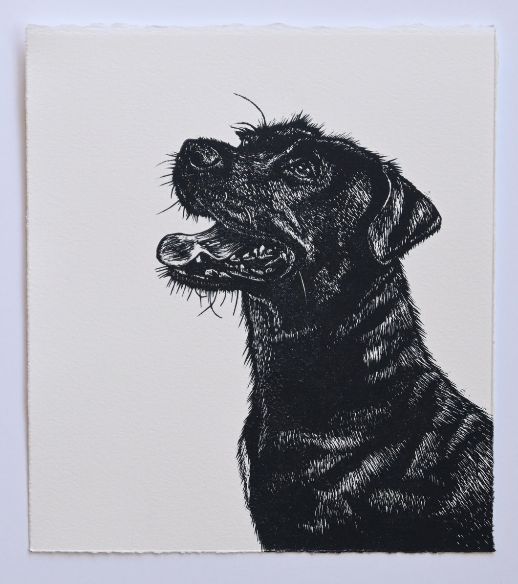 Lisa Jose | Printmaking | Lahni
