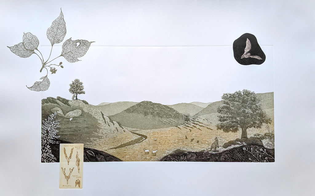 Fenja T. Ringl | Printmaking | Layered Histories at Goodradigbee (Inset Ed.). Ed. 1 of 6, framed
