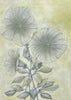 Barbara  Dawson | Mixed Media | Lingering Presence