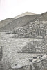 Fenja T. Ringl | Printmaking | Lizard in Boboyan Valley. AP2, framed