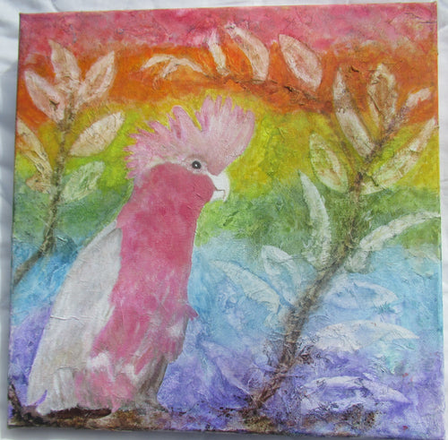 Lyn Grigg | Mixed Media | Cocky Boy