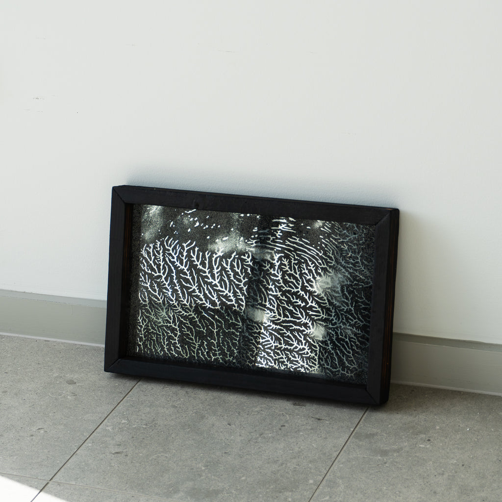 April Widdup | Mixed Media | untitled (morpheus tree series 2)