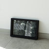 April Widdup | Mixed Media | untitled (morpheus tree series 2)