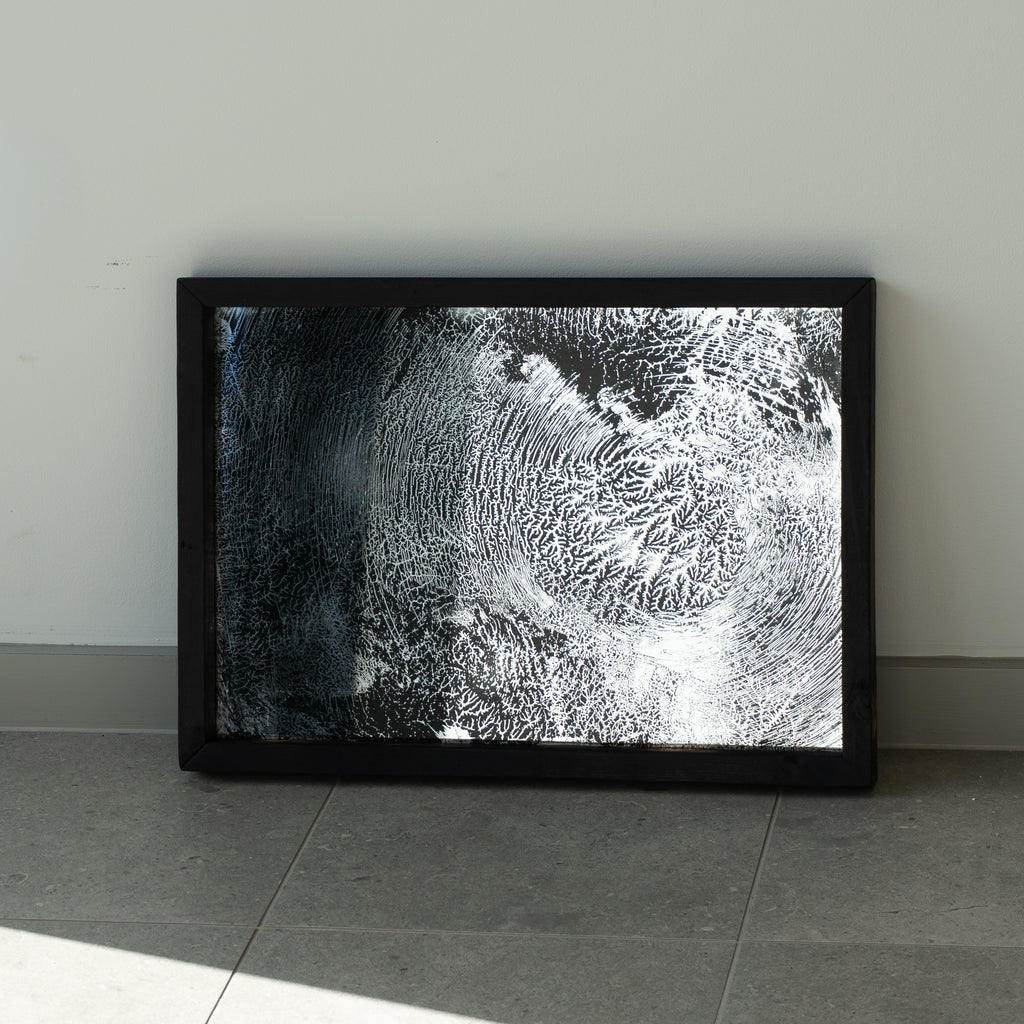 April Widdup | Mixed Media | untitled (morpheus tree series 4)