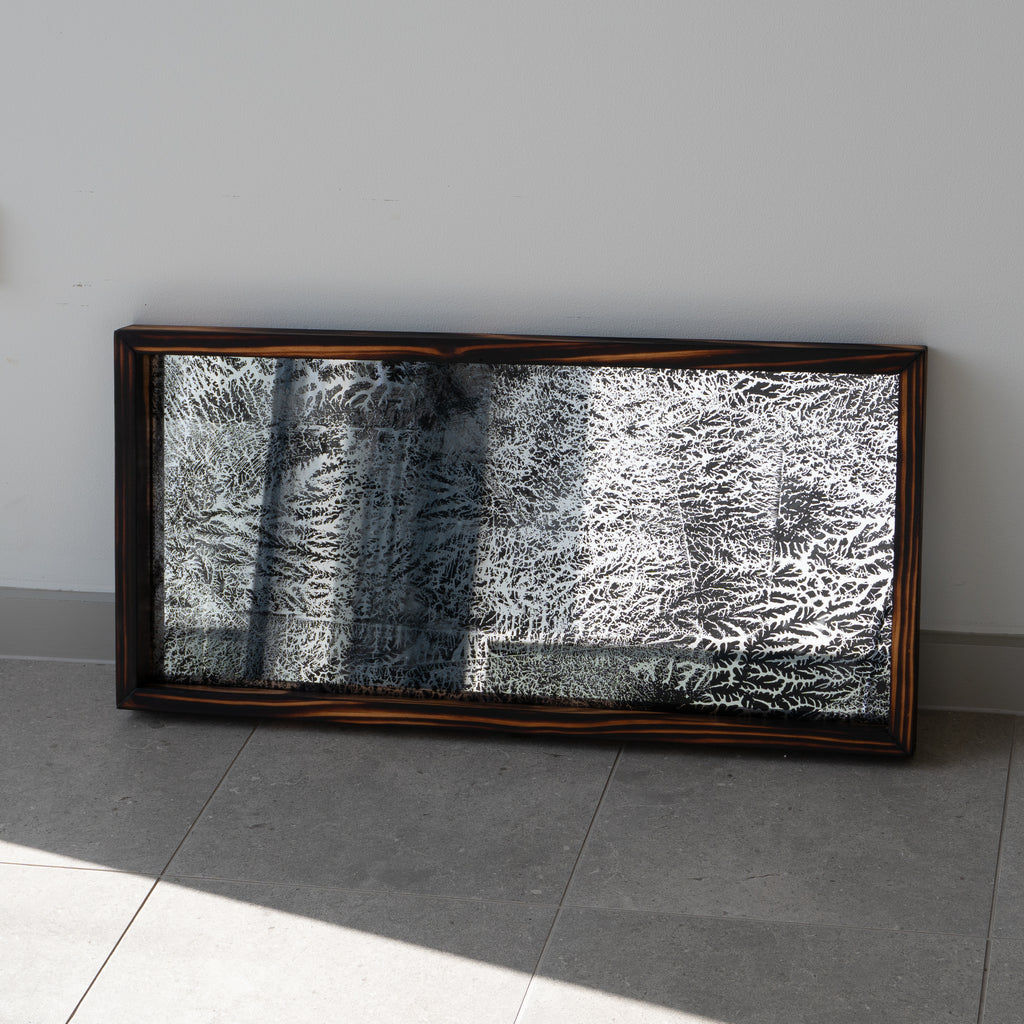 April Widdup | Mixed Media | untitled (morpheus tree series 5)
