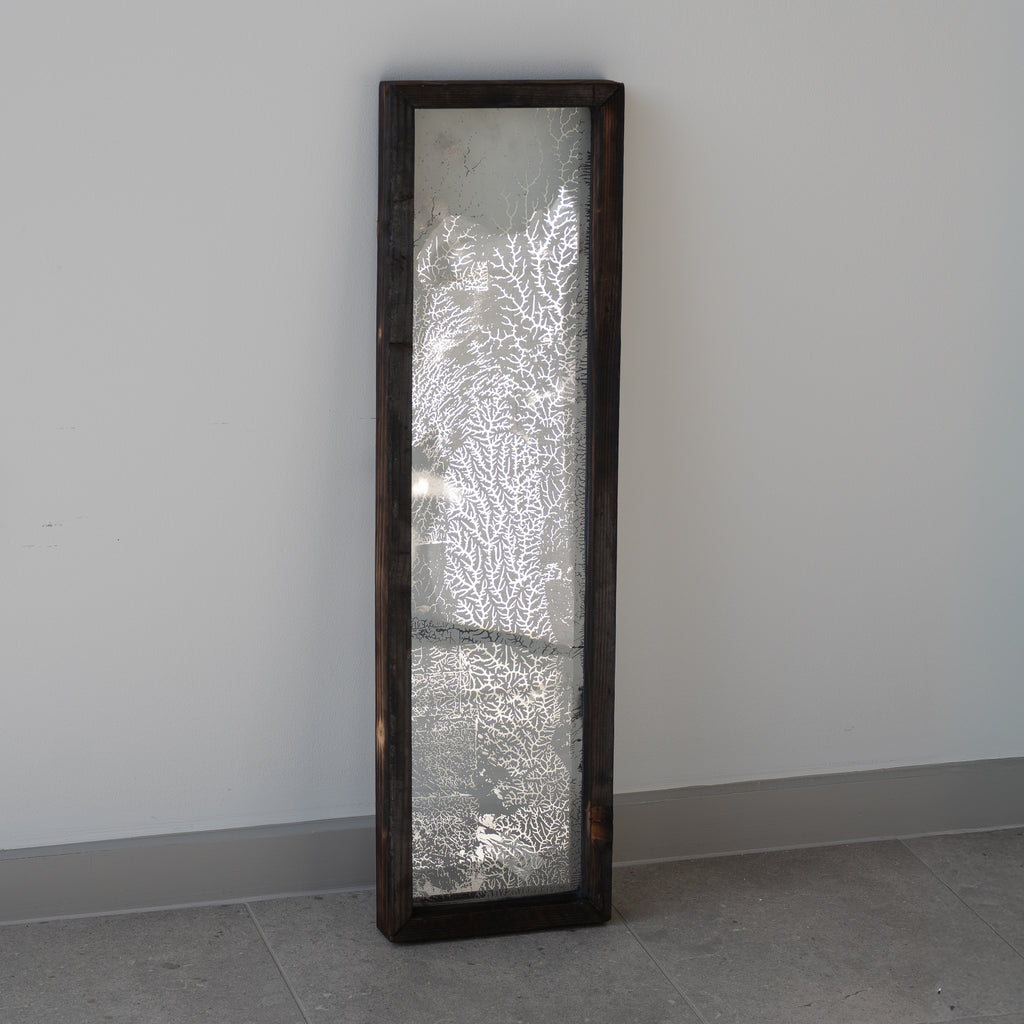 April Widdup | Mixed Media | untitled (morpheus tree series 6)